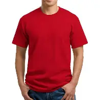 Louis Philippe Jeans Slim Fit Casual Men Solid Polo Neck Pure Cotton Maroon T-Shirt